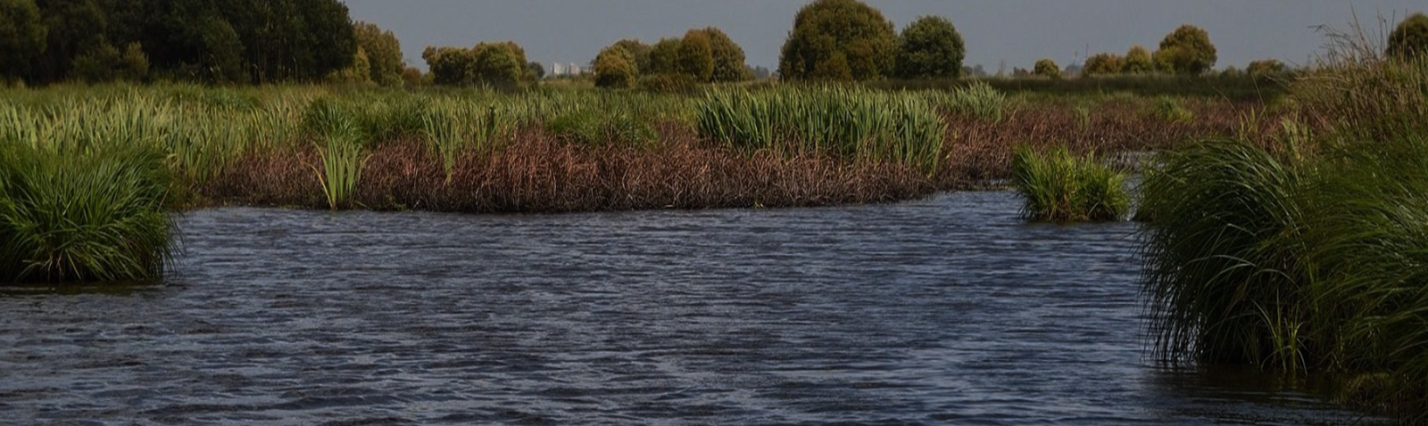 A tranquil river scene with a small boat dock and lush greenery.